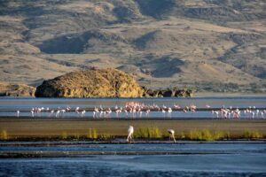 Lire la suite à propos de l’article A la découverte du lac Natron en Tanzanie