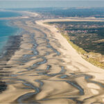 Baie de Somme : grand bol d’air en famille entre dunes, phoques et marais