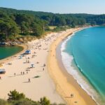 Découvrir biscarrosse : activités, plages et nature à ne pas manquer