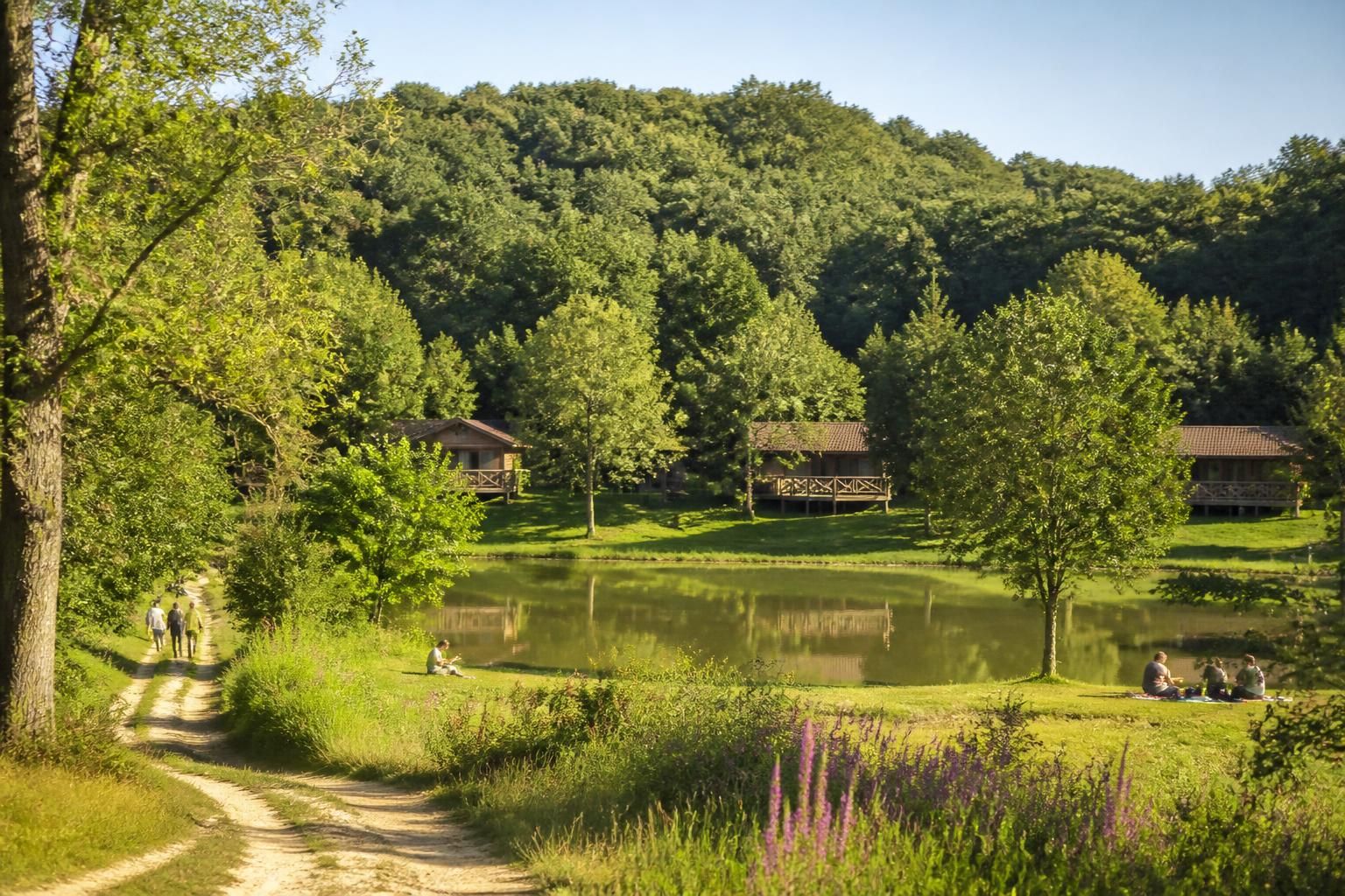 Lire la suite à propos de l’article Campsegret France : un havre de paix au cœur du Périgord pour vos vacances
